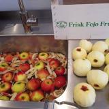 Økologiske æbler fra Fejø